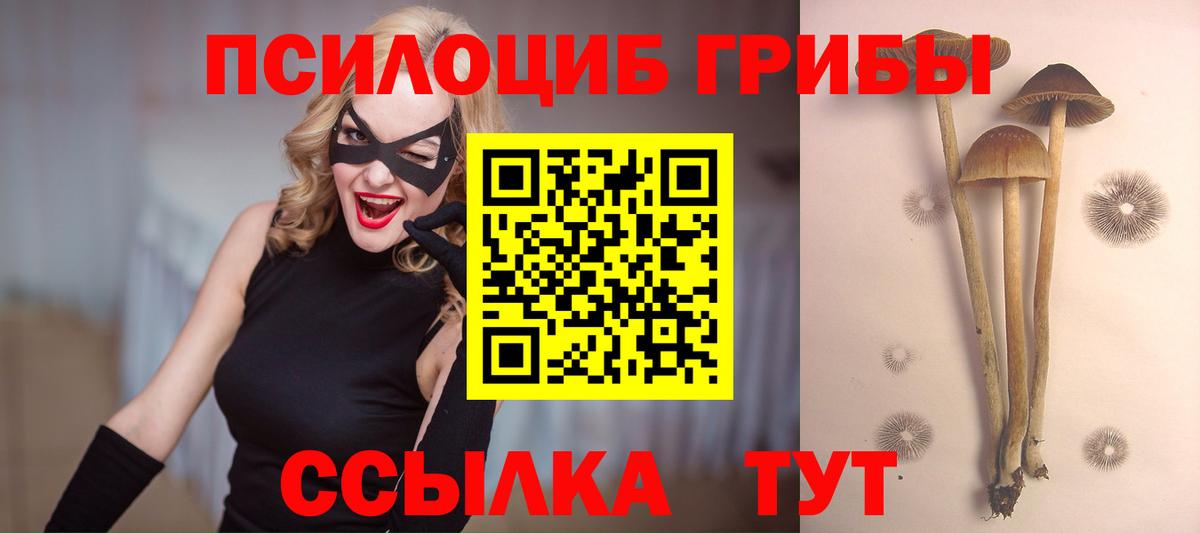 Галлюциногенные грибы GOLDEN TEACHER  Вход с VPN  Норильск  Галлюциногенные грибы ЛСД 